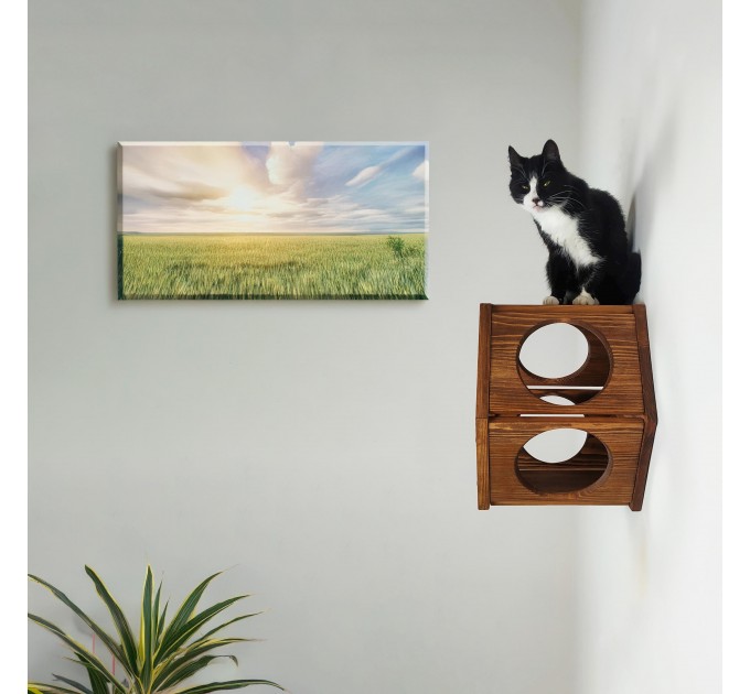 Cat wall hexagon shelf cat honeycomb shelves, cat hexagon perches
