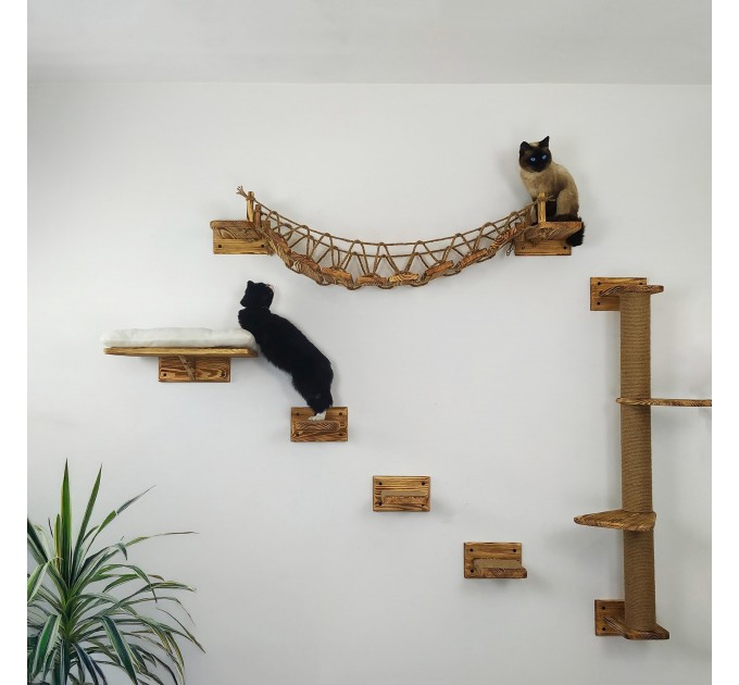 Cat wall furniture set with climbing wall and steps