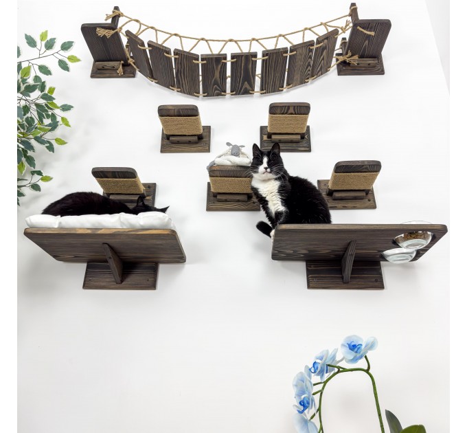 Cat gifts wall furniture set