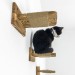 Kitten climbing wall set with cat steps