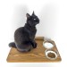 Wall mounted shelf with space for bowls