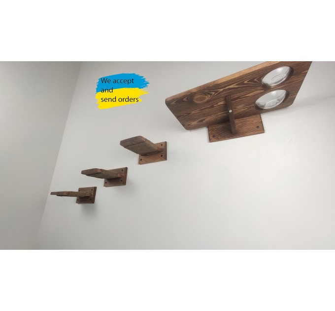 Cat shelves wall furniture set