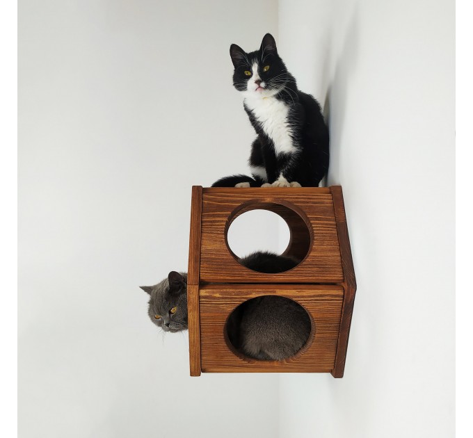 Cat wall hexagon shelf cat honeycomb shelves, cat hexagon perches