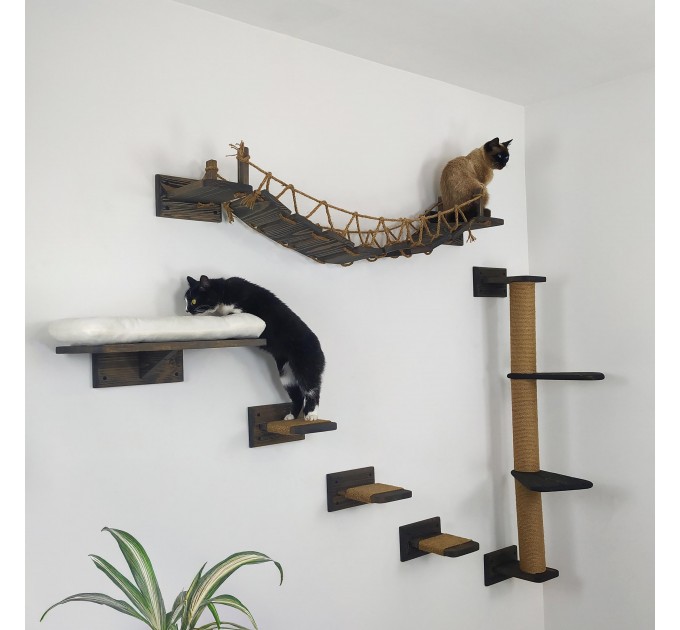 Cat wall furniture set with climbing wall and steps
