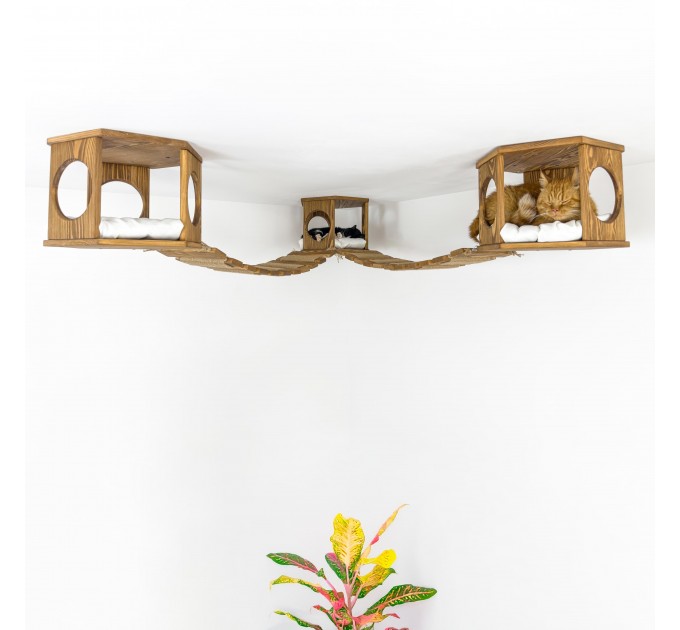 Ceiling climber with hexagon shelves and wooden ceiling bridge