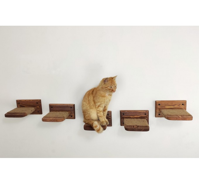 Wall mounted cat furniture set