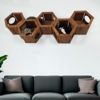 Cat hexagon wall furniture - wooden kitten shelf & bed