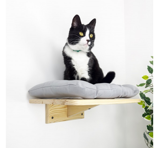 Modern furniture for cats