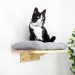 Modern furniture for cats
