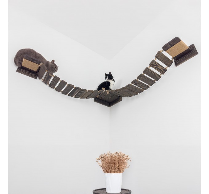 Floating cat bridge and shelves – perfect cat wall playground