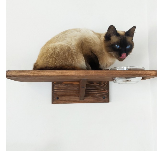 Kitten shelf with 2 bowls