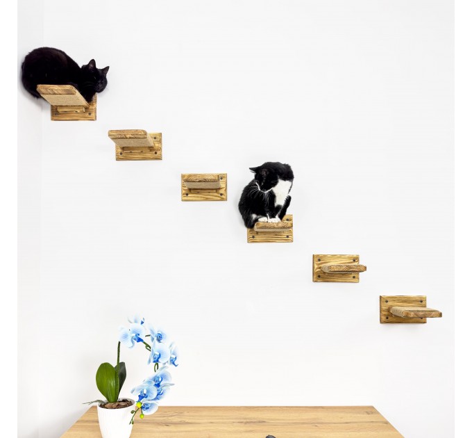 Set cat 6 steps with rope - cat furniture cat shelves cat shelf