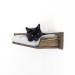 Corner kitten shelf with pillow