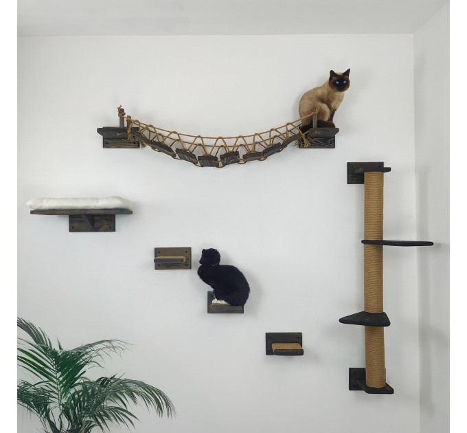 Cat wall furniture set with climbing wall and steps