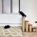 Cat scratcher for kittens – perfect scratching post for playful paws