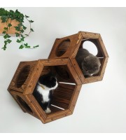 Handmade hexagon cat shelf – wooden wall furniture for kittens