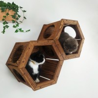 Handmade hexagon cat shelf – wooden wall furniture for kittens