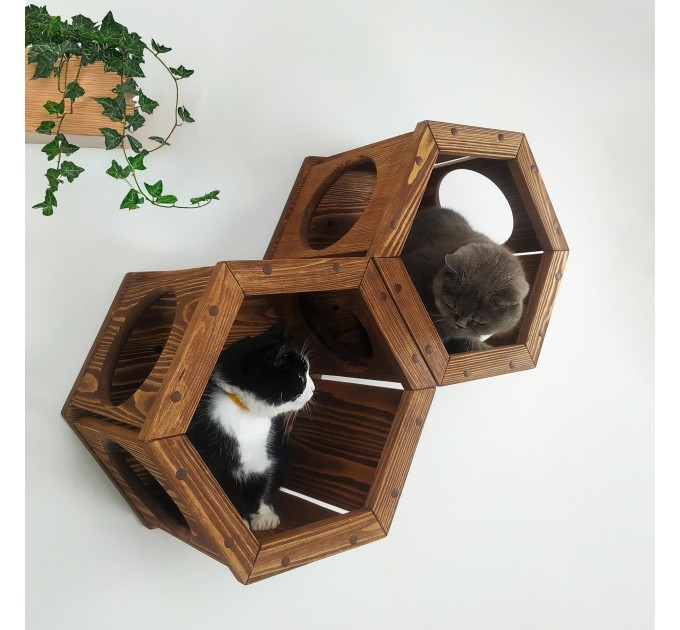 Honeycomb hexagon cat shelf – modern wooden bed