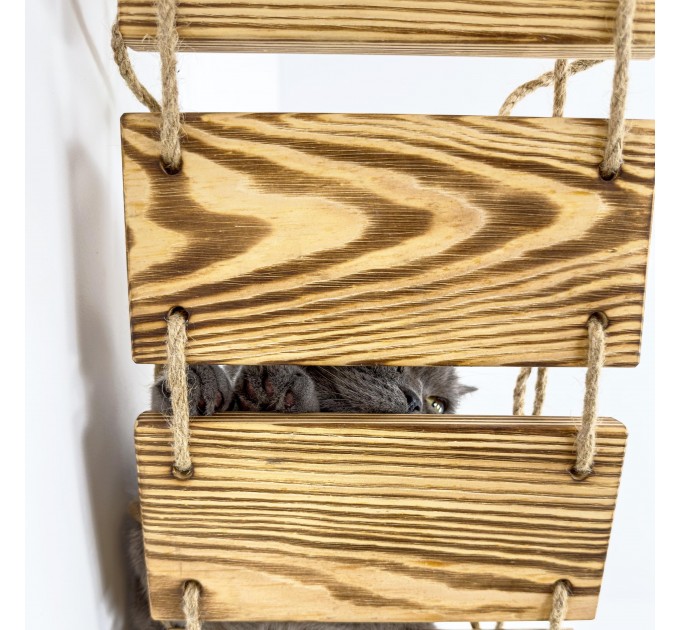 Kitten wall playground – comfortable bridge for active cats