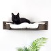 Floating corner cat shelves