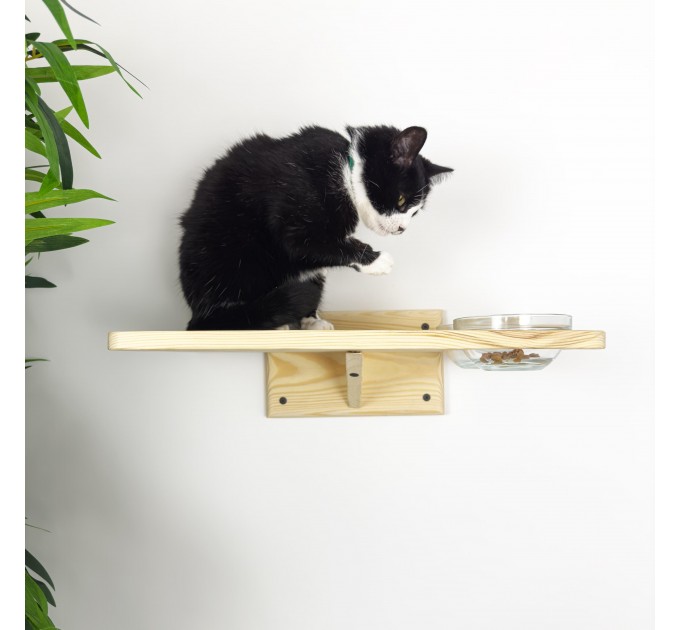 Kitten shelf with 2 bowls