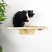 Kitten shelf with 2 bowls
