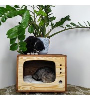 Cat house, kitten condo