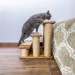 Cat scratching post with wooden pet stairs – comfort and fun