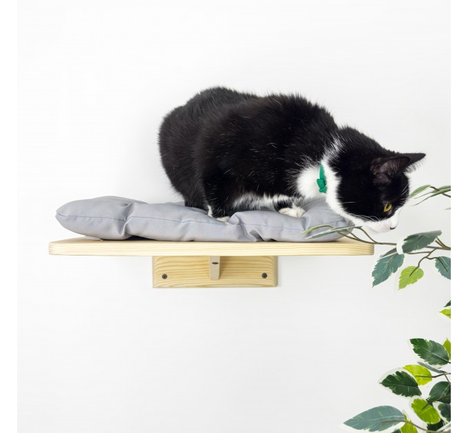 Cat shelves modern kitten furniture