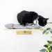 Cat shelves modern kitten furniture