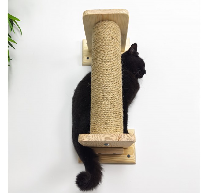 Kitten climbing pole with rope for active play