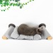Cat shelf with hammock and wall bed, furniture for cats