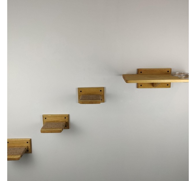 Cat wall steps and feeder shelf