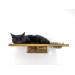 Wall mounted shelf with space for bowls
