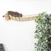 Custom wooden cat bridge for wall – stylish kitten climbing shelf
