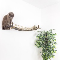 Cat steps for wall, sisal rope