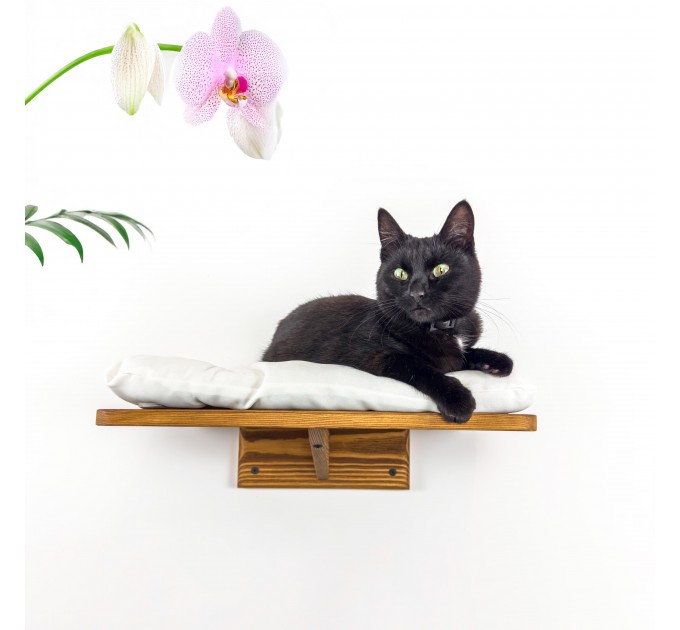 Functional cat wall set
