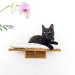 Functional cat wall set