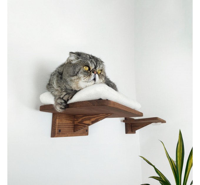 Cat wall furniture, elevated playground for active pets