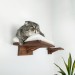 Cat wall furniture, elevated playground for active pets