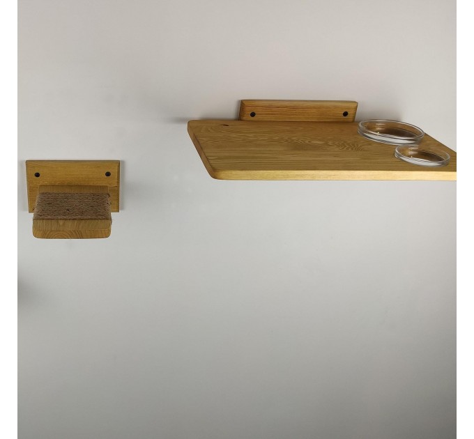 Cat wall steps and feeder shelf