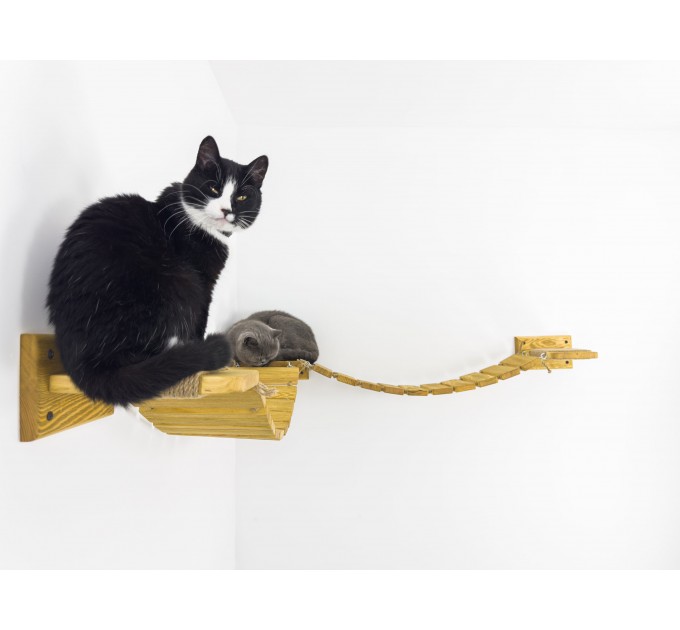 Floating cat bridge with shelves – perfect for big cats
