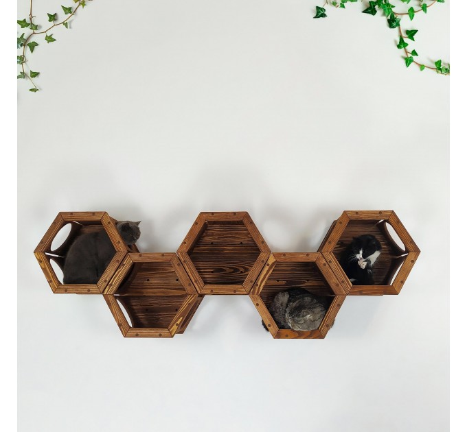 Cat hexagon wall shelf – perfect wooden climbing bed for cats