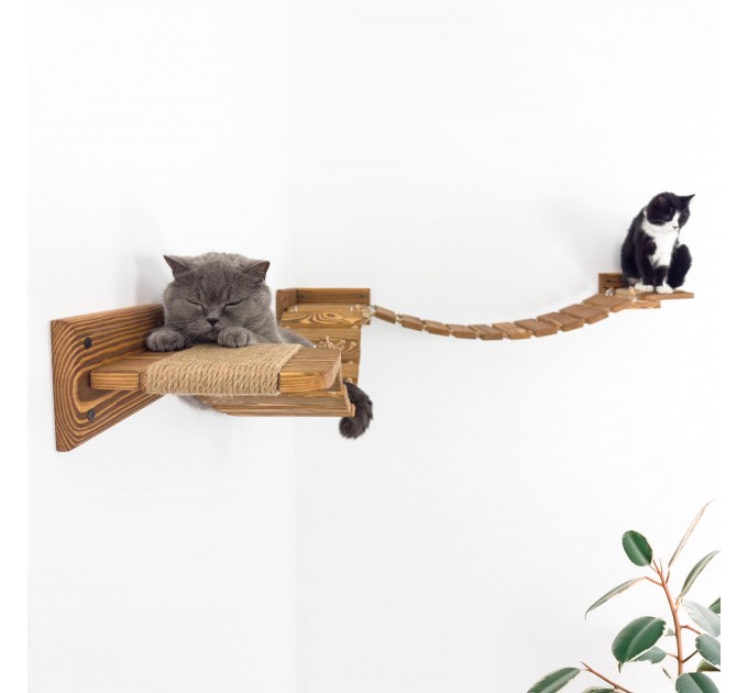 Floating cat bridge and shelves – perfect cat wall playground
