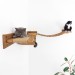 Floating cat bridge and shelves – perfect cat wall playground