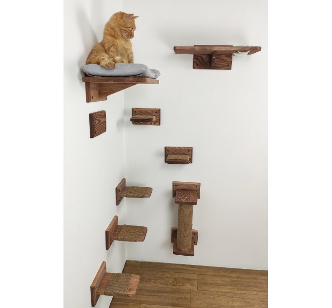 Cat wall furniture, elevated playground for active pets