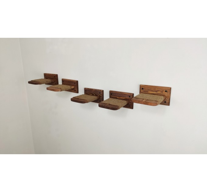 Cat climbing wall set – bridge and step perches for active cats
