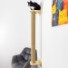 Wooden cat scratching post and climbing pole for happy paws