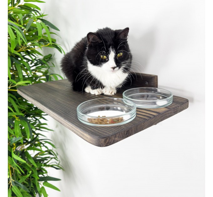 Wall mounted wooden cat rack furniture with 2 food and water bowls
