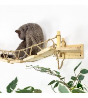 Modern wooden cat bridge – wall-mounted and ceiling walkway